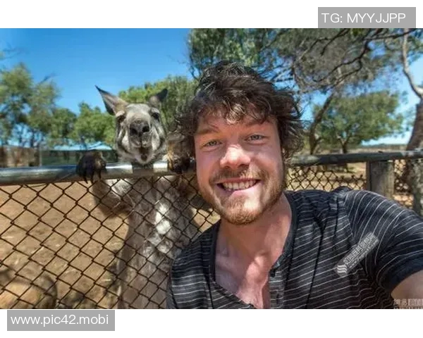 布朗:全队都在积极寻求与武切维奇的配合,帮助他建立默契 布朗:全队都在积极寻求与武切维奇的配合,帮助他建立默契